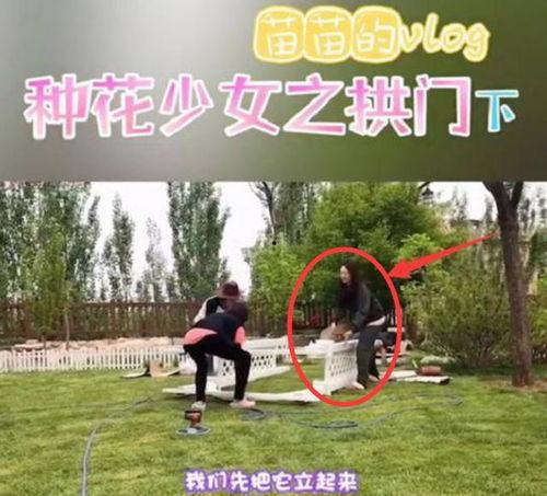 苗苗最新爆料房子租的,揭秘租房背后的故事  第3张